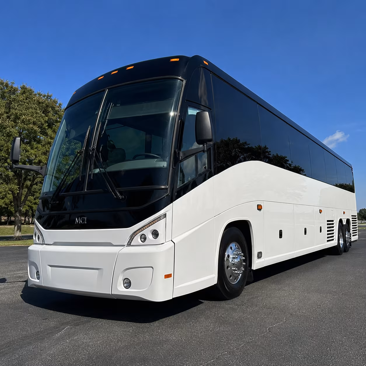 danville sports team and fan group bus rentals made simple